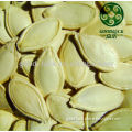 New crop Shine Pumpkin Seeds in shell